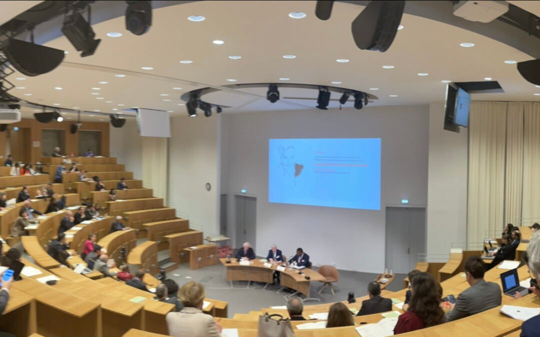 Hommage by learned societies : Emmanuel Gaillard, theory in action